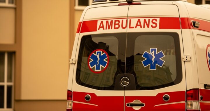 apel-o-pomoc-zwierz--tom-w-czasie-zimowym-auto-930