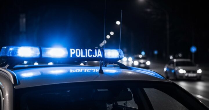 skierniewicka-policja-zatrzyma--a-7-poszukiwanych--auto-496