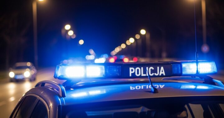policja-ze-skierniewic-rozbija-gang-z--odziei-samo-auto-488