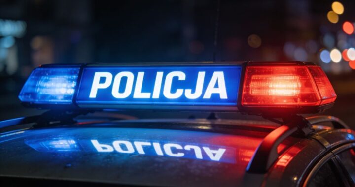 policja-na-tropie--kontrole-miejsc-spotka---m--odz-auto-6955