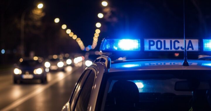 policjantki-i-ich-czworono--ni-pomocnicy-w-przedsz-auto-457